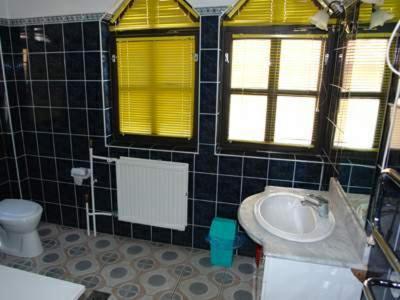Hostal Aranyoroszl�n Panzi�