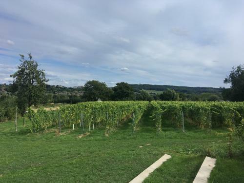 Bed & Breakfast Domein Holset Bruisendwijnhuis