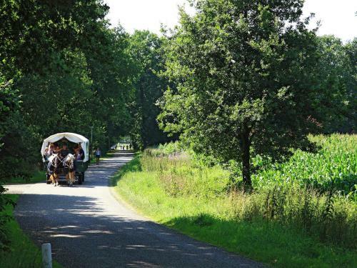 Comfortable Holiday Home In Lieveren Drenthe With Terrace