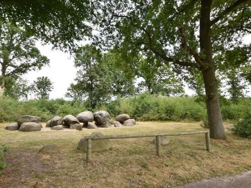 Comfortable Holiday Home In Lieveren Drenthe With Terrace