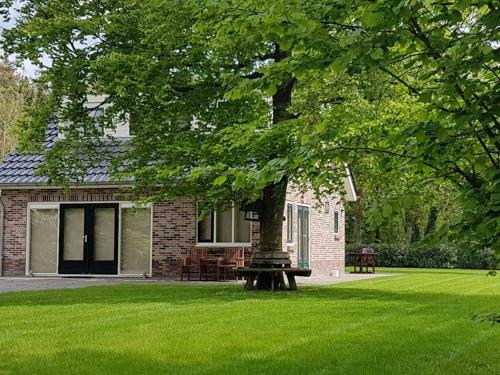 Comfortable Holiday Home In Lieveren Drenthe With Terrace