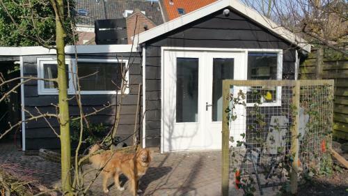 In De Stad, En Rustig Als Op Het Platteland