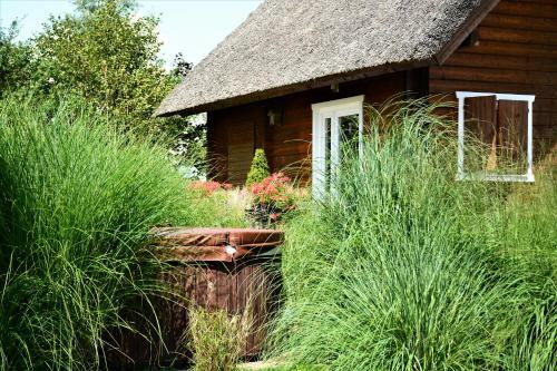 Harlingen Garden Apartment
