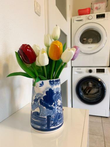 Harlingen Garden Apartment