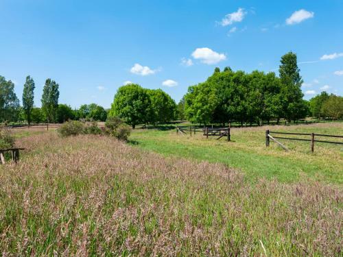 Enticing Holiday Home In Nieuwleusen With Garden