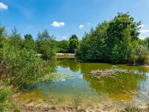 Enticing Holiday Home In Nieuwleusen With Garden