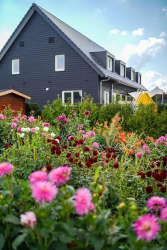 Bed & Breakfast Wilgenhart