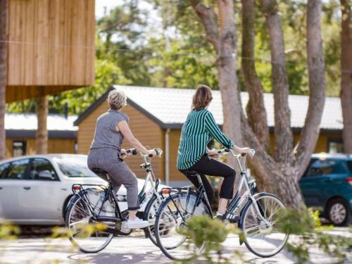 Holiday Home Europarcs Resort de Wije Werelt-6