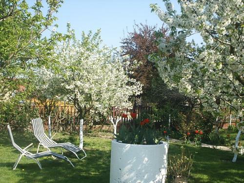 Apartamento �rnyas Vend�gh�z