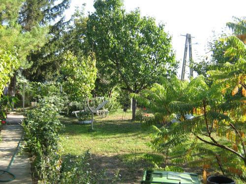 Apartamento �rnyas Vend�gh�z
