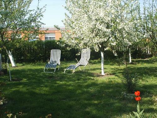 Apartamento �rnyas Vend�gh�z