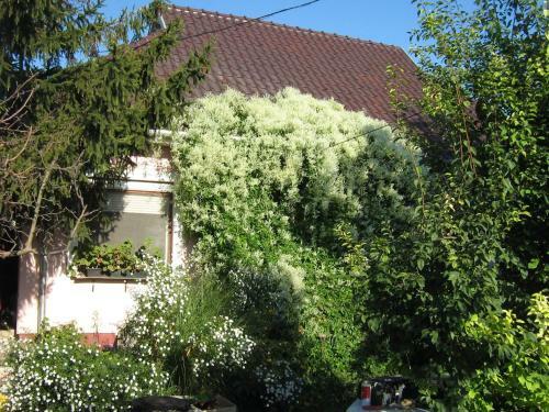 Apartamento �rnyas Vend�gh�z