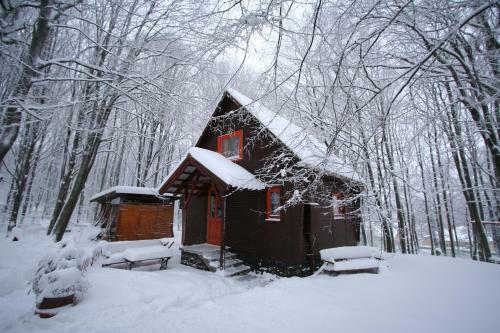 Lodge Dar�zshegyi Apartmanh�z