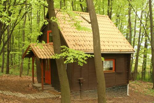 Lodge Dar�zshegyi Apartmanh�z