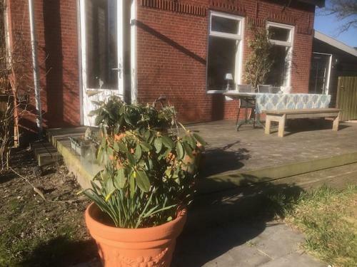 Vakantie Huis Ons Oude Dijkhuis