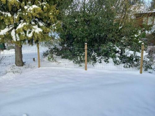 Charming Chalet In Stegeren Near Forest
