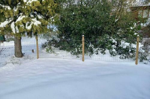 Charming Chalet In Stegeren Near Forest