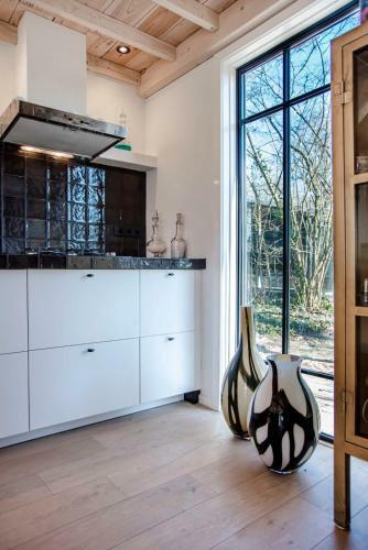 Dream-house Esveld