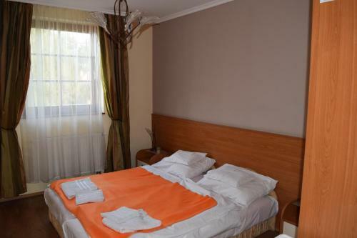 Hotel Natural Panzi�