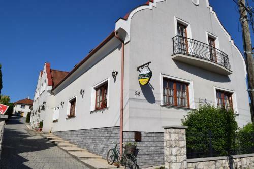 Hotel Natural Panzi�