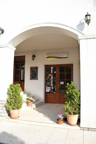 Hotel Natural Panzi�