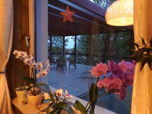 Hostal M�traszentimre Panzi�