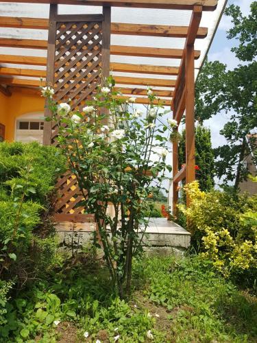 Hostal Boronah�z Fogad�