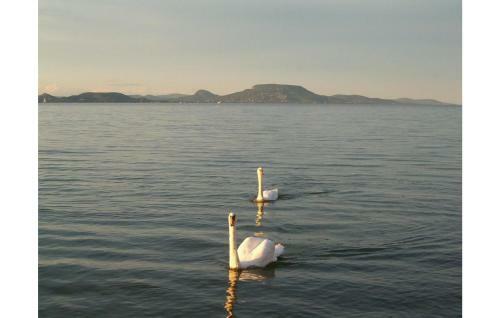 Holiday Home Vasut Utca-balatonm�riaf�rd�