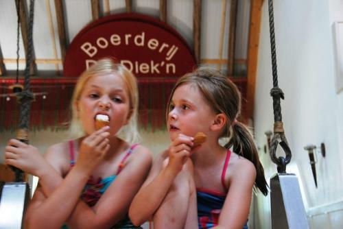 Bed & Breakfast Hotel De Diekn