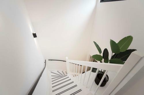 Apartamento Timeless 6
