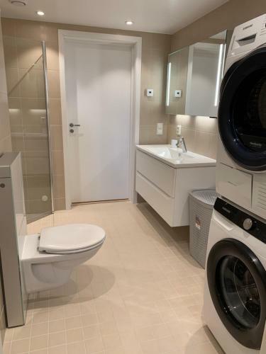 Apartamento Lofoten Suiteapartments