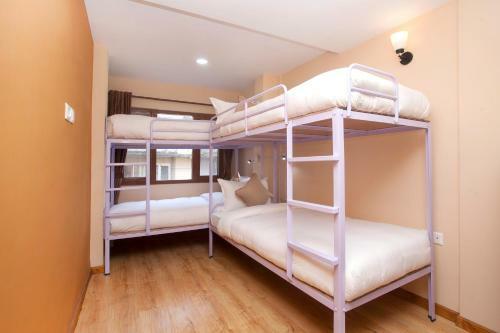 Rosemary Hostel