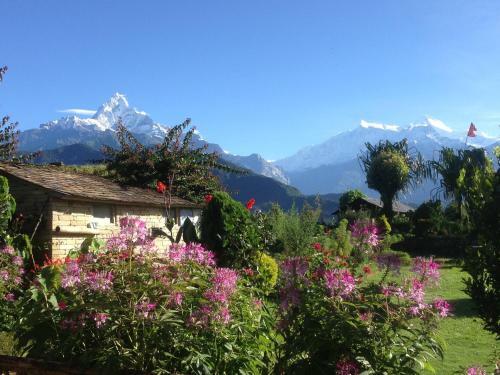 Hostal Annapurna Eco Village