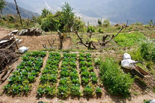 Hostal Annapurna Eco Village