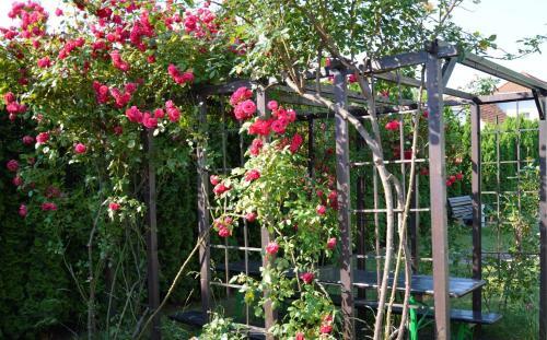 Eman Apartmanh�z