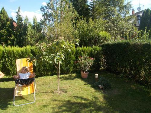 Apartamento Forr�s-g Vend�gh�z