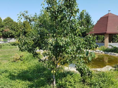Hostal Ingrid Panzi�