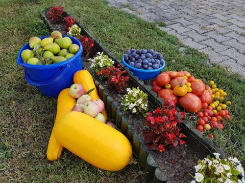 Hostal Ingrid Panzi�