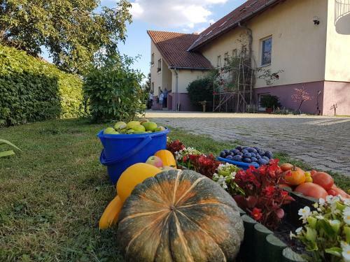 Hostal Ingrid Panzi�