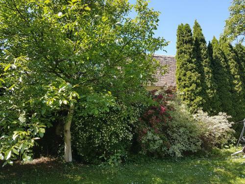 Hostal Ingrid Panzi�