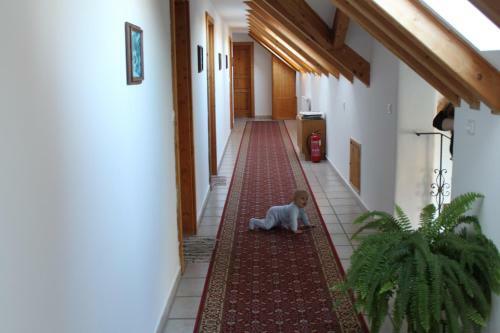 Hostal Ingrid Panzi�