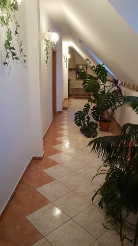 Hostal Pension �v�ri