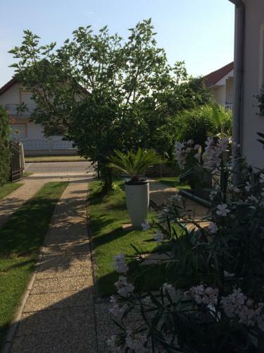 Bed & Breakfast Judit Vend�gh�z