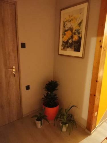 Elizabeth Apartmanh�z