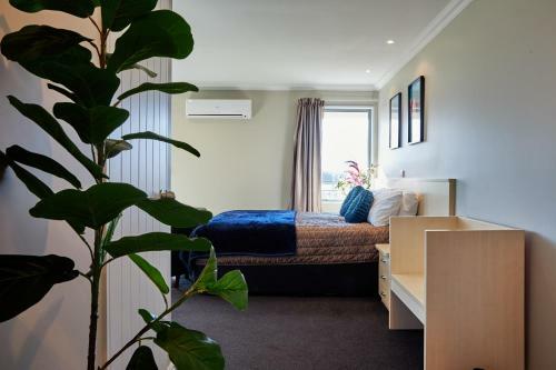 Hotel Mondello Kaikoura