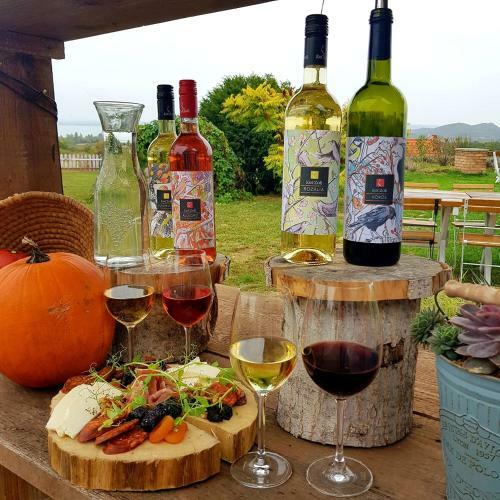 Hostal Koczor Winery & Guesthouse
