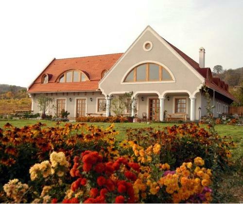 Hostal Koczor Winery & Guesthouse