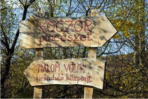 Hostal Koczor Winery & Guesthouse