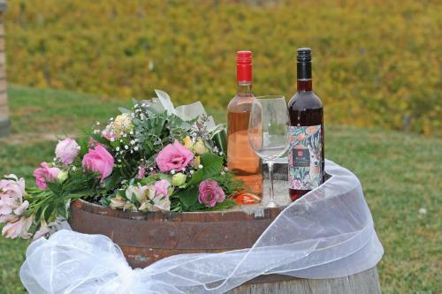 Hostal Koczor Winery & Guesthouse