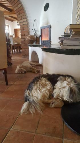Hostal Koczor Winery & Guesthouse